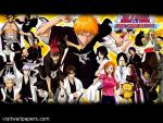 Bleach28