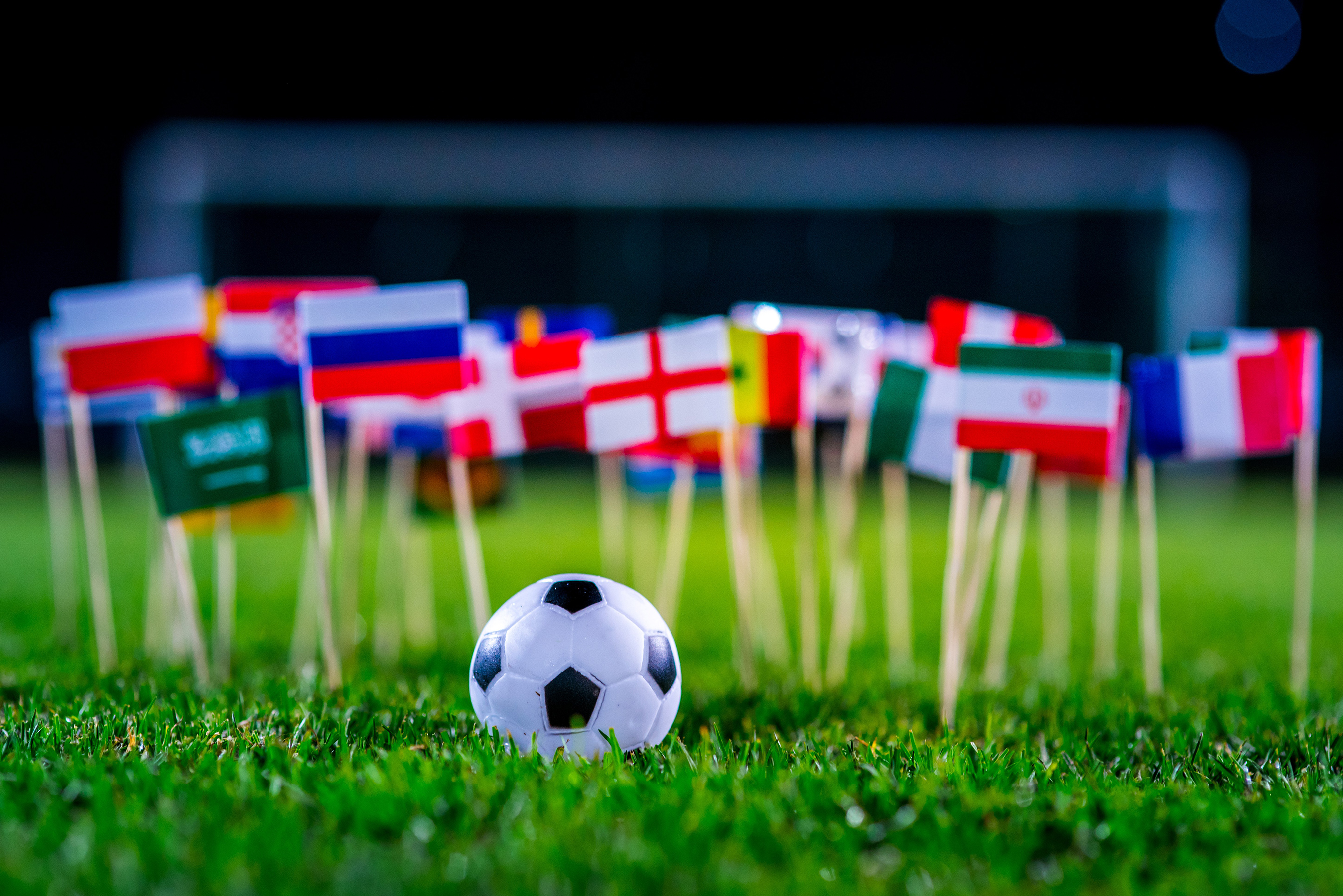 worldcup_2018_205