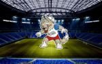 worldcup_2018_216