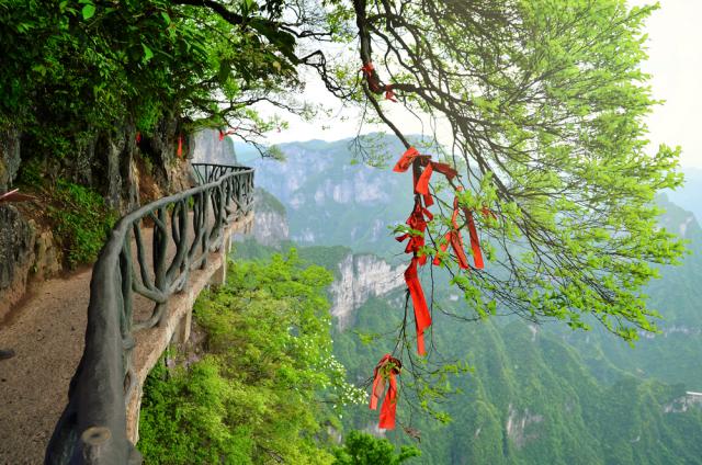 china_451