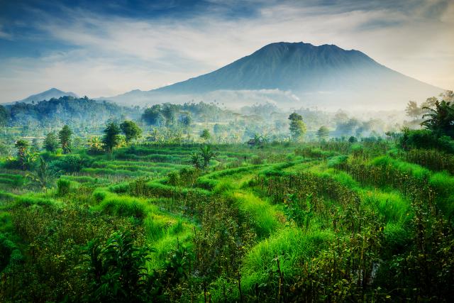 Indonesia_080
