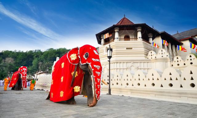 sri_lanka_29