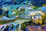 china_517