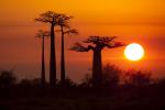Sunrise_48