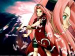 Naruto_219
