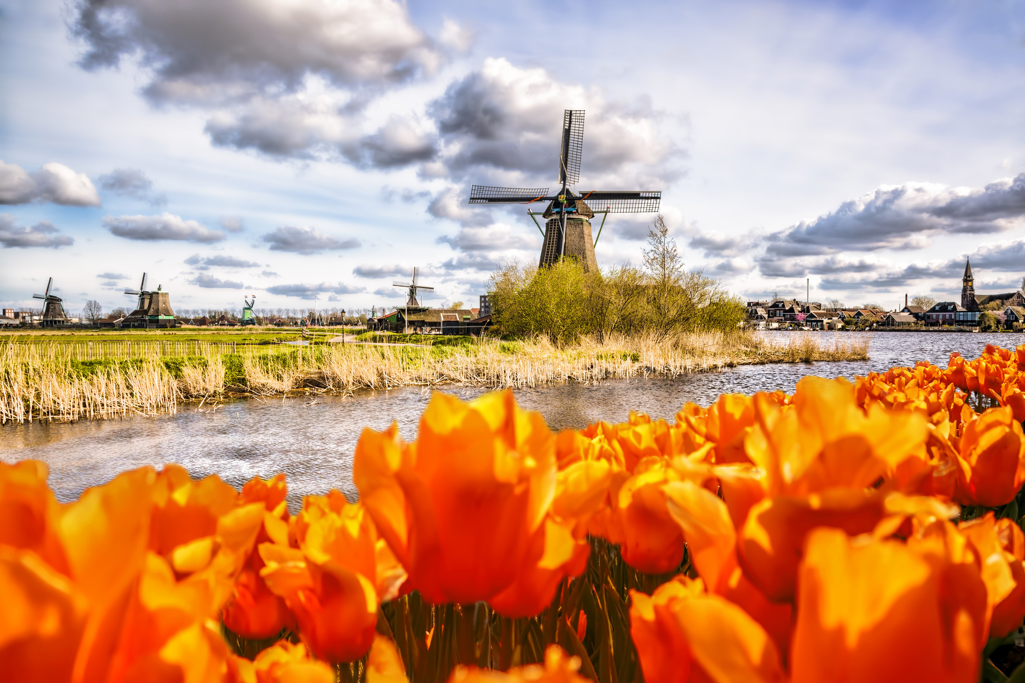 Windmill_25