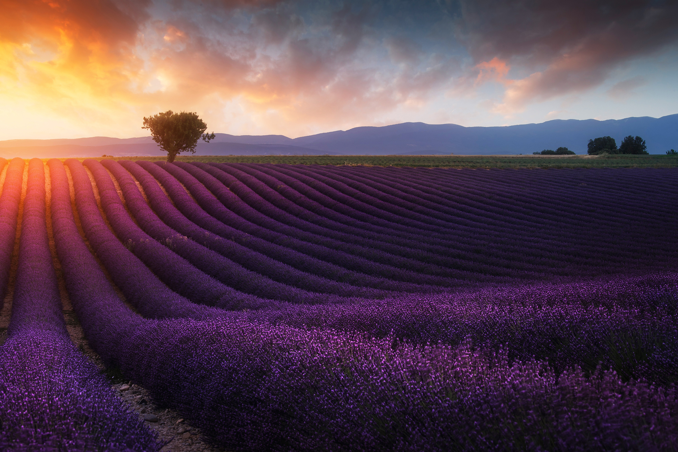 Sunrise_74