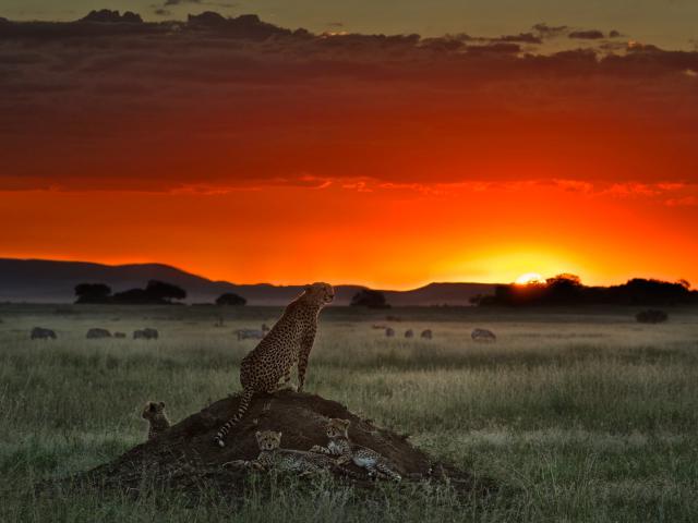 Sunset_239