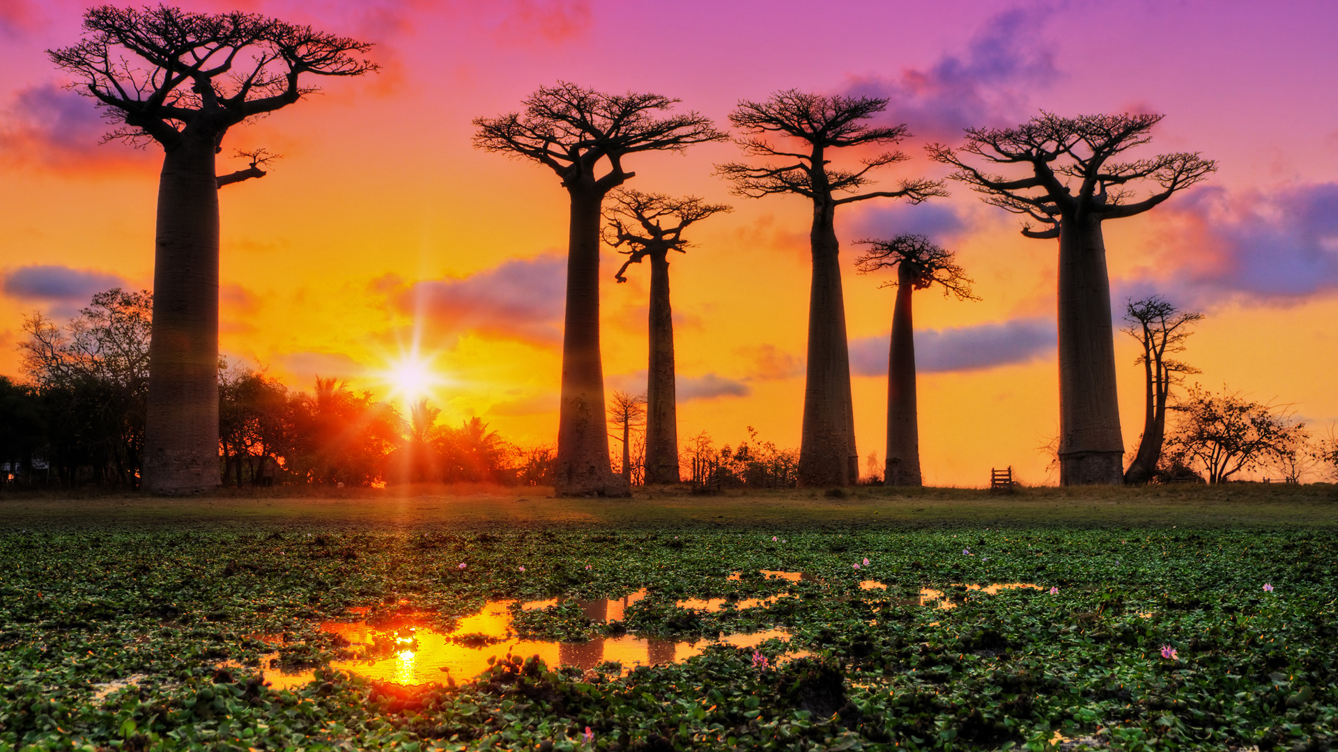 Sunset_249