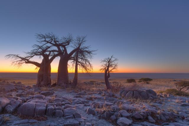 Sunrise_102