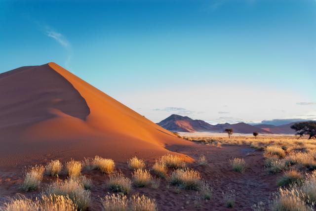 Desert_61