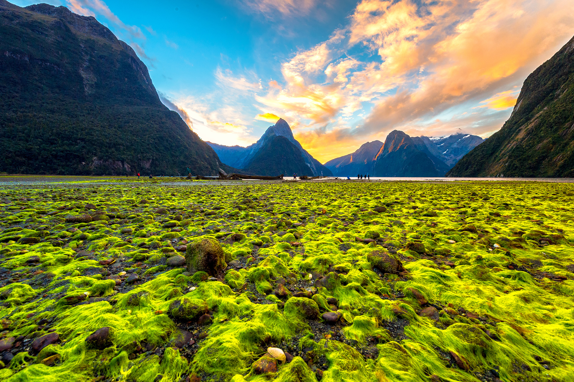 Sunset_311