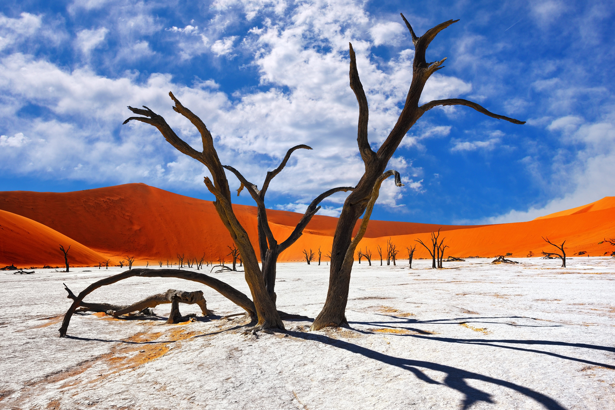 Desert_62