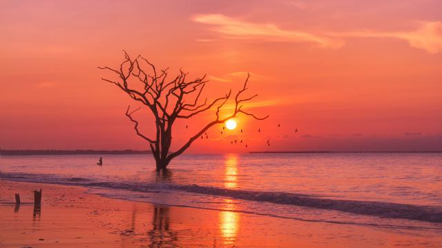 Sunset_339