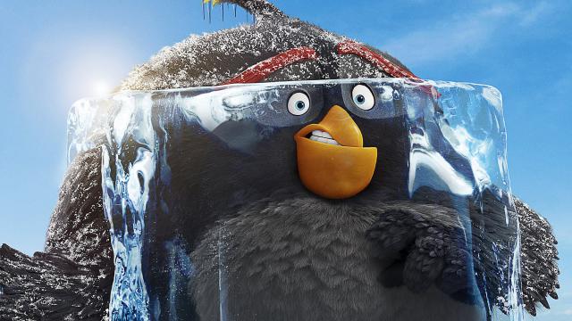 The_Angry_Birds_13