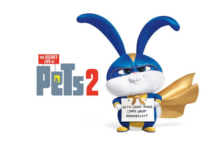 The_Secret_Life_of_Pets_4