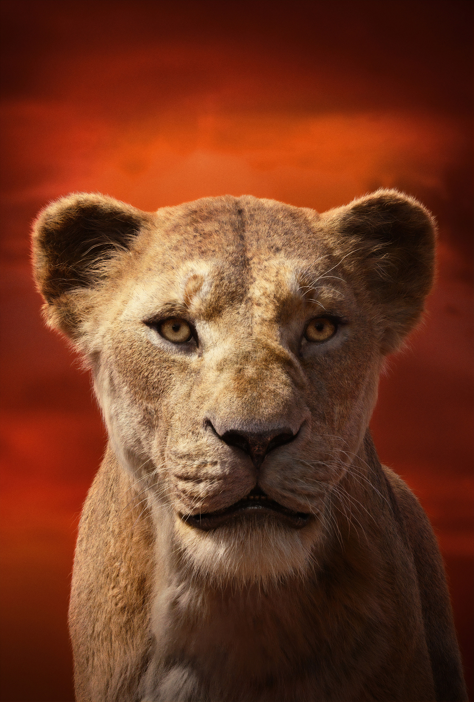 The_Lion_King_03