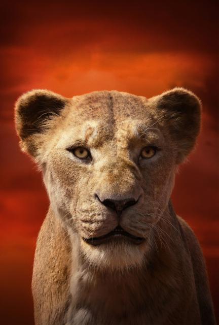 The_Lion_King_03