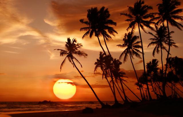 Sunset_372