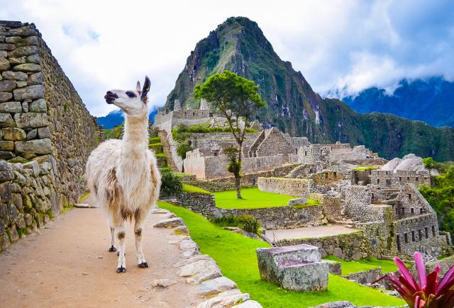 south_america_203