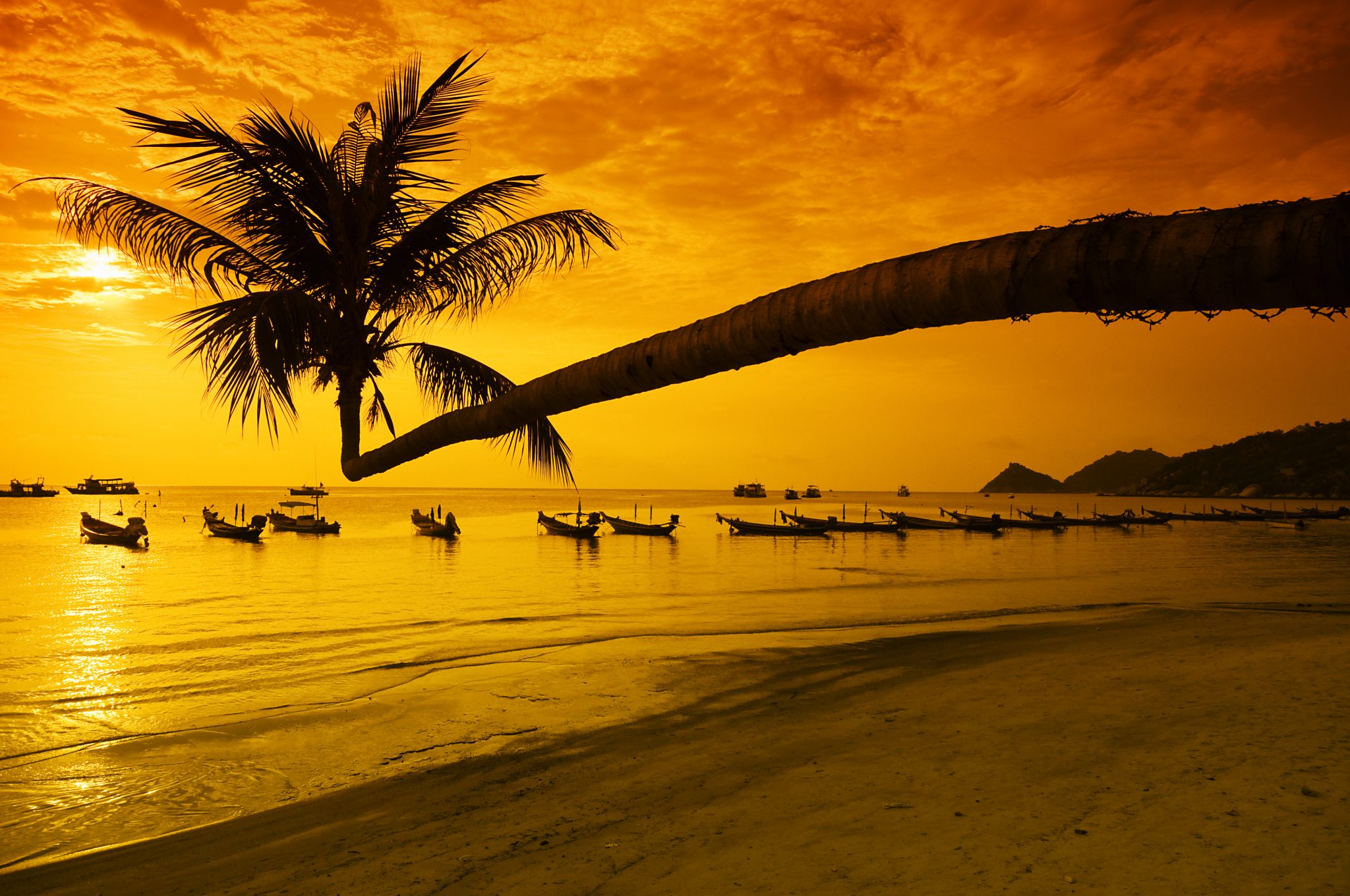 Sunset_443