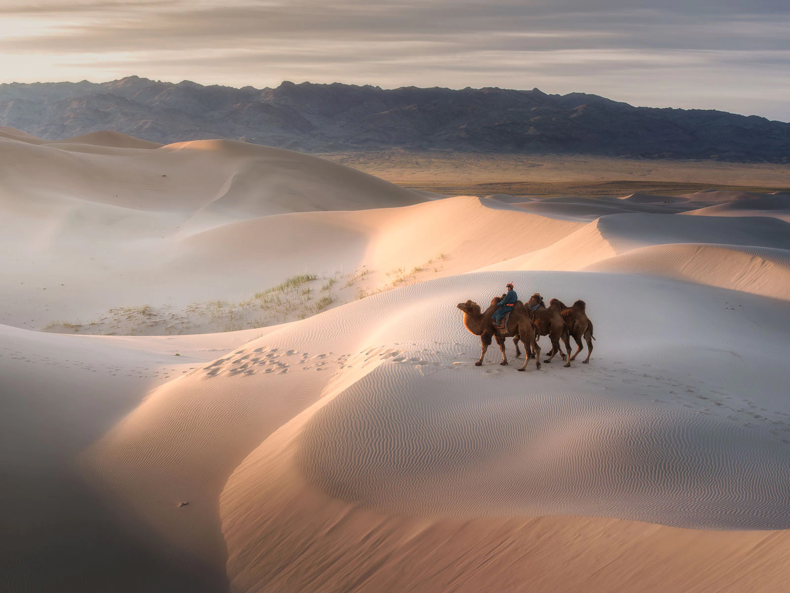 Desert_85