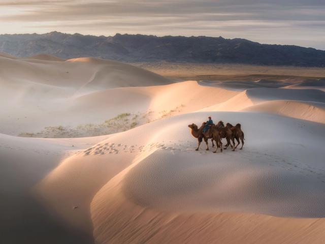 Desert_85