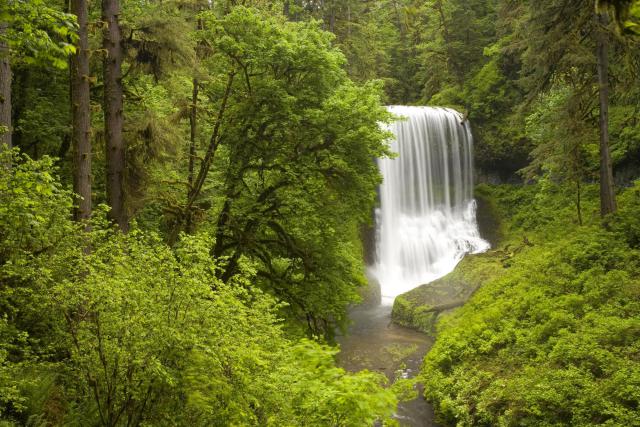 waterfalls_486