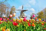 Windmill_40