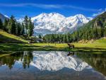 pakistan_153