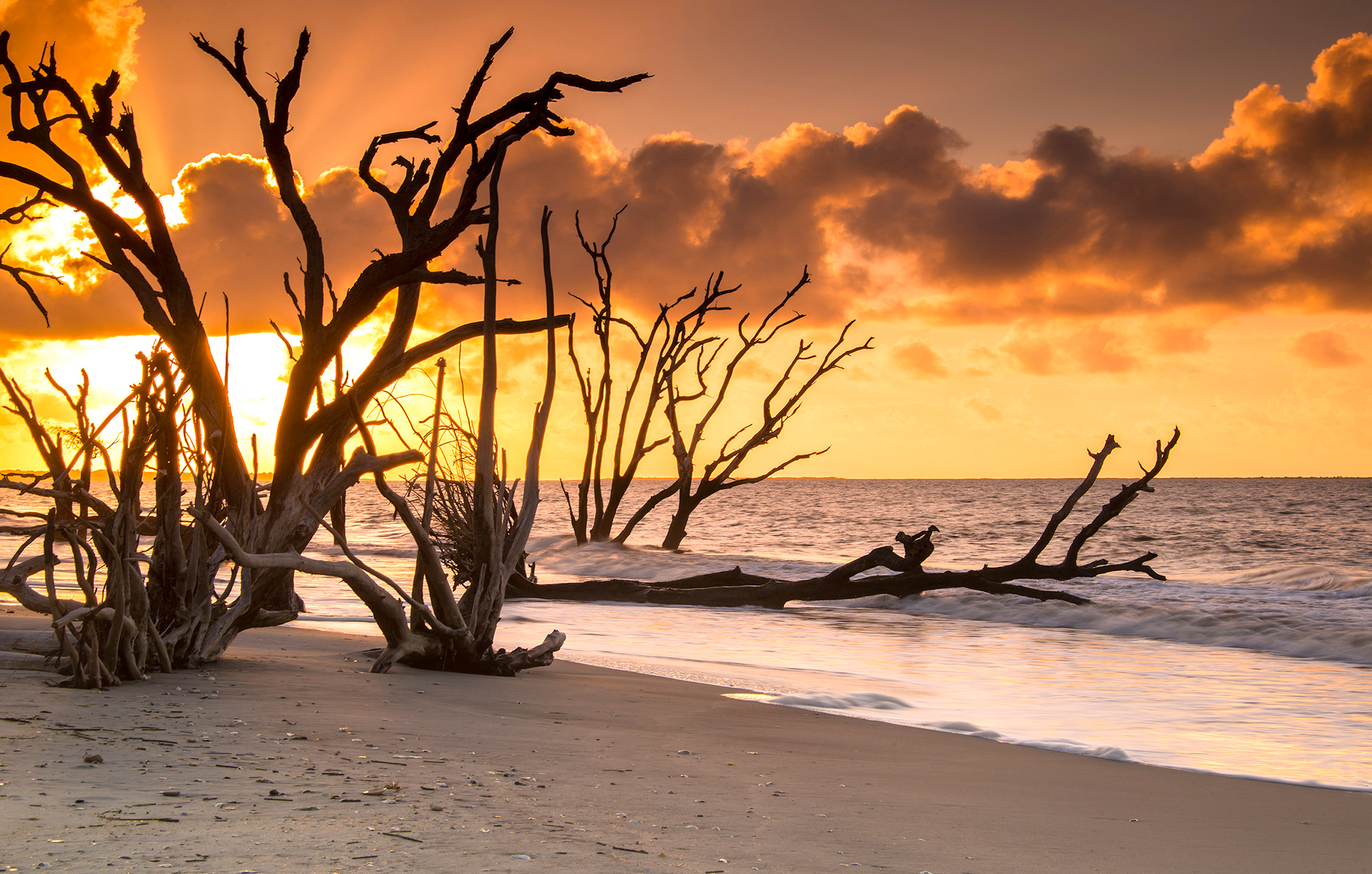 Sunrise_230