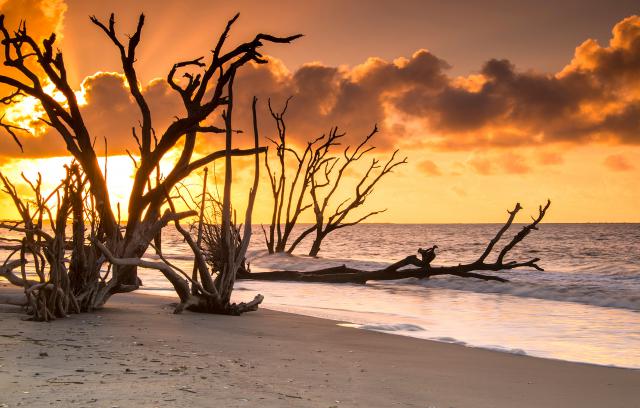 Sunrise_230