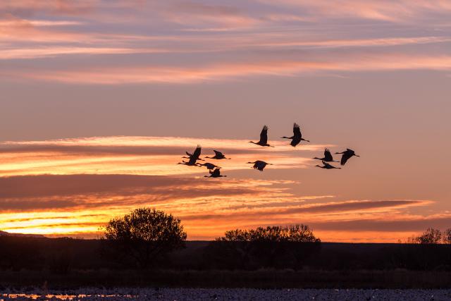 Sunrise_236