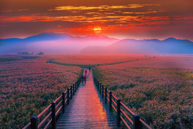 Sunrise_237