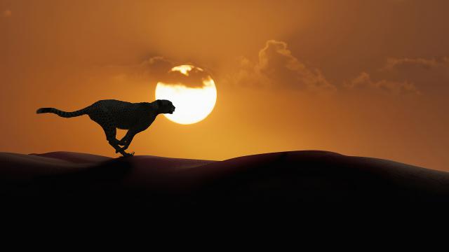 Sunset_821