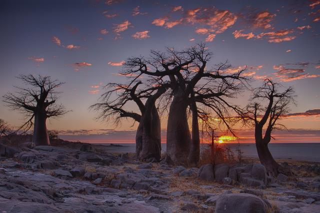 Sunrise_269