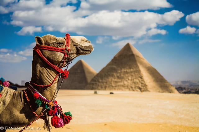 Pyramids_118