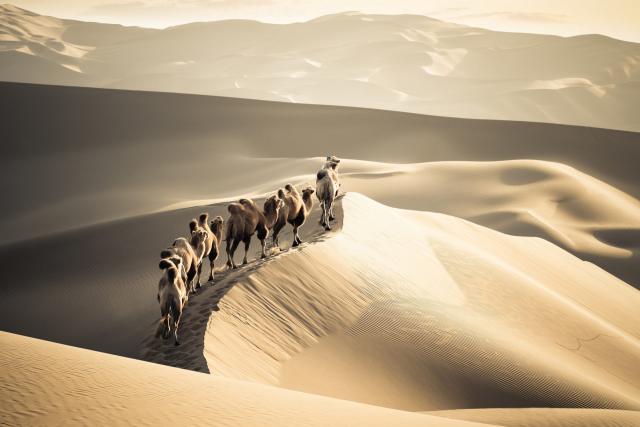 Desert_116