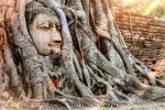 thailand_515