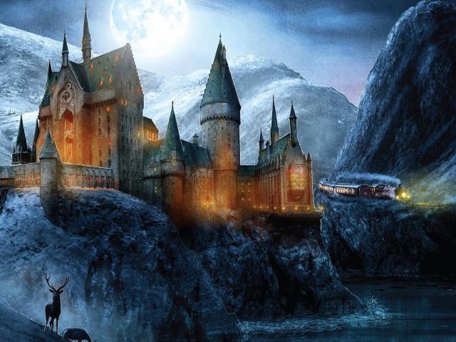 harry_potter173