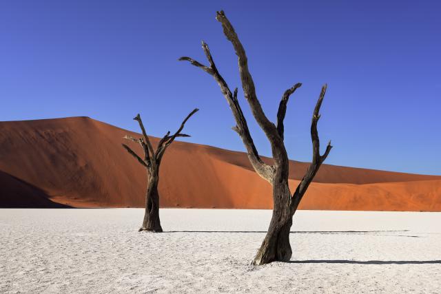 Desert_120