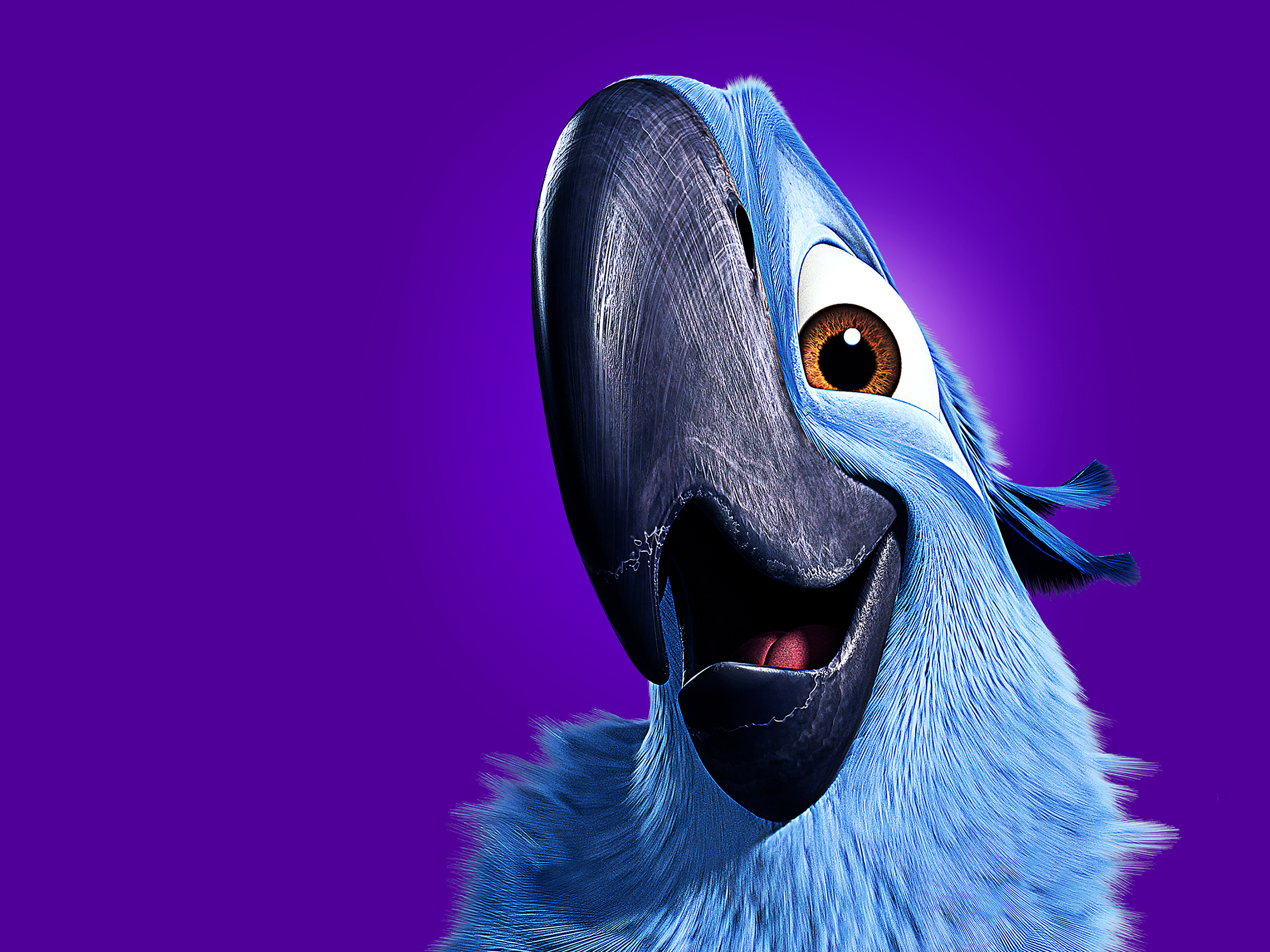 Rio2_04