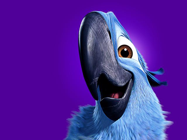 Rio2_04