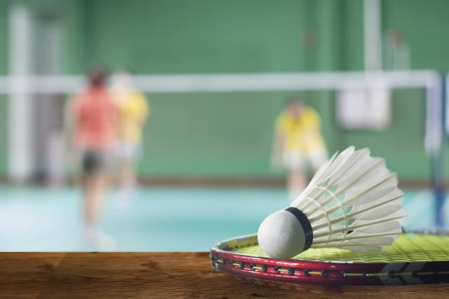 badminton24