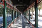 china_688