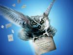 harry_potter174