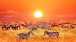 Sunset_1029