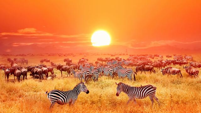 Sunset_1029