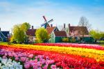 Windmill_62