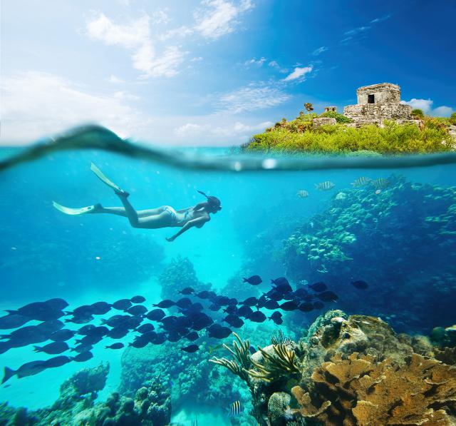 ocean-life-754